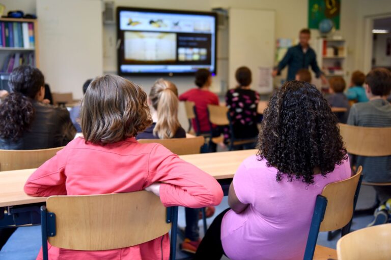 Leggi la guida: Monitor interattivi per la scuola: come sceglierli e acquistarli via MEPA